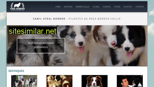 steelborder.com.br alternative sites