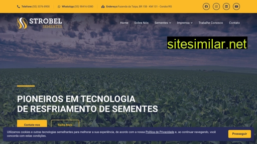 strobelsementes.com.br alternative sites