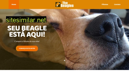 thebeagles.com.br alternative sites
