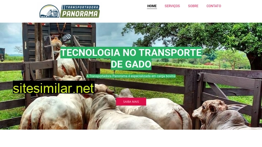 transportadorapanorama.com.br alternative sites