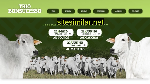 triobonsucesso.com.br alternative sites