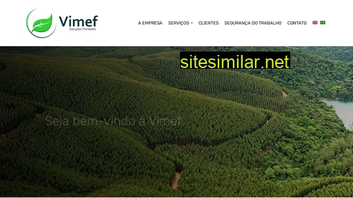 vimef.com.br alternative sites