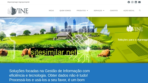 vinesolucoes.com.br alternative sites