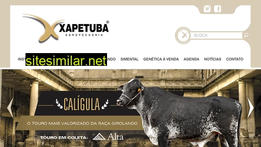 xapetuba.com.br alternative sites
