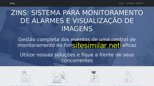 zins.com.br alternative sites