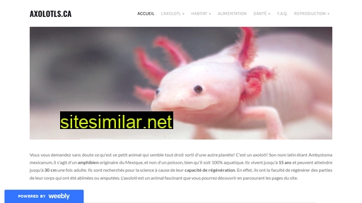 axolotls.ca alternative sites