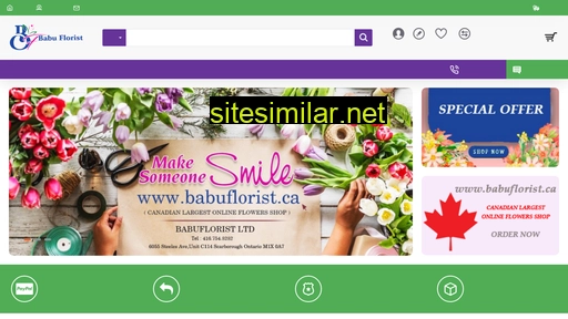 babuflorist.ca alternative sites