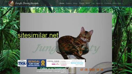 bengalcats.ca alternative sites