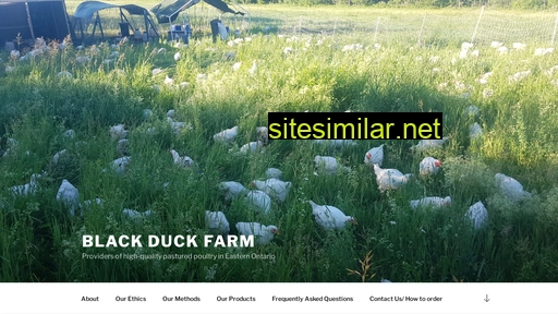 blackduckfarm.ca alternative sites