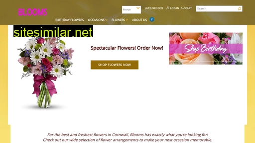 bloomscornwall.ca alternative sites