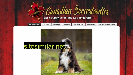 canadianbernedoodles.ca alternative sites