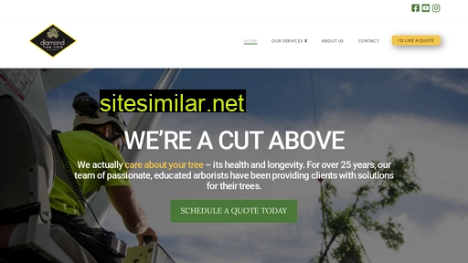 diamondtreecare.ca alternative sites