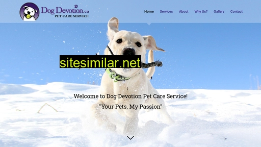 Dogdevotion similar sites