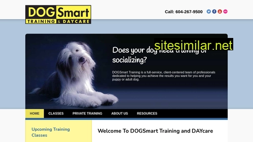 dogsmart.ca alternative sites
