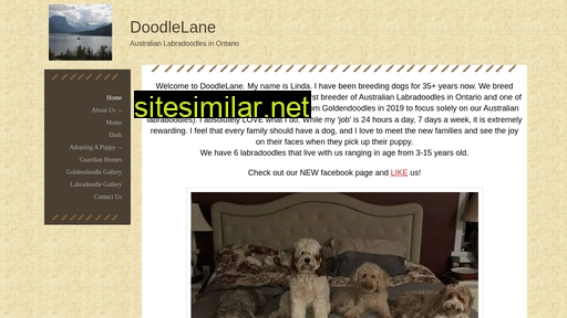 doodlelane.ca alternative sites