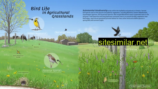 grasslandbirds.ca alternative sites