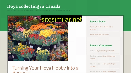 Hoyas similar sites