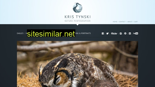 kristynski.ca alternative sites