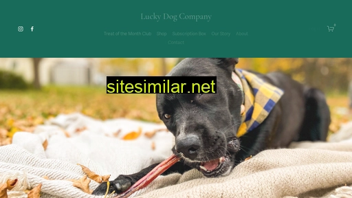 luckydogcompany.ca alternative sites