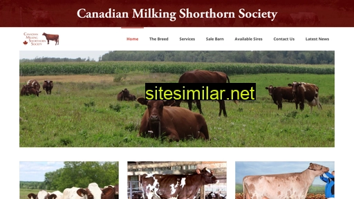 milkingshorthorn.ca alternative sites