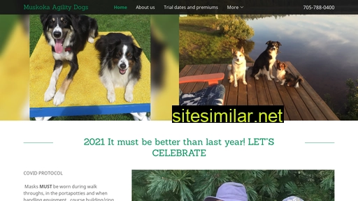 muskokaagilitydogs.ca alternative sites