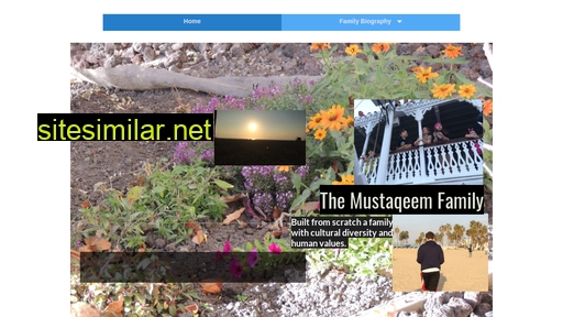 mustaqeem.ca alternative sites