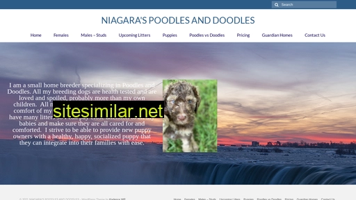 niagaraspoodlesanddoodles.ca alternative sites