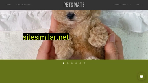 petsmate.ca alternative sites