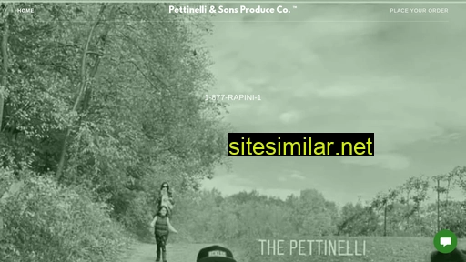 pettinelli.ca alternative sites