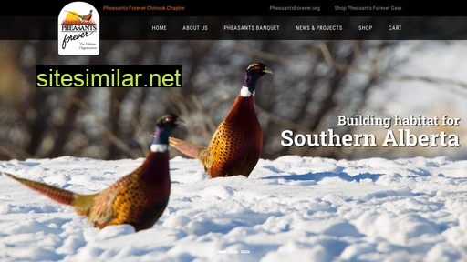 pheasantsforeverchinook.ca alternative sites