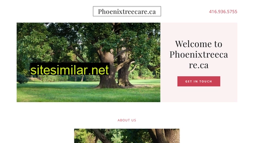 phoenixtreecare.ca alternative sites