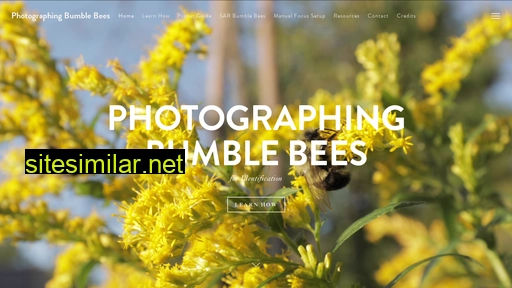 photographingbumblebees.ca alternative sites