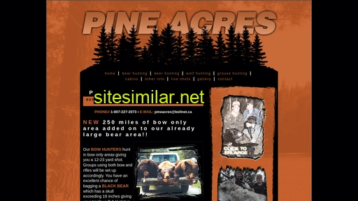 pineacresbearcamp.ca alternative sites