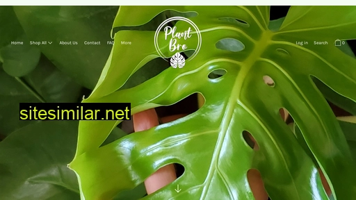 plantbro.ca alternative sites