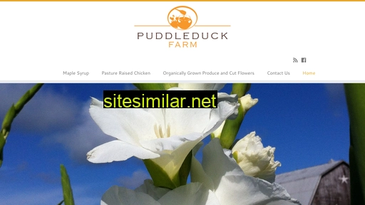 Puddleduckfarm similar sites