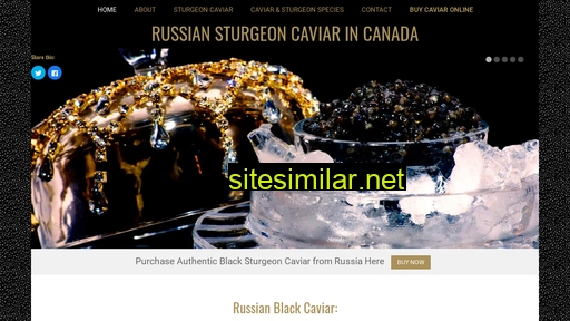 ruscaviar.ca alternative sites