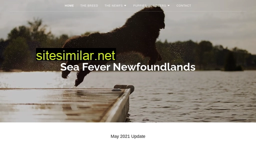 seafevernewfs.ca alternative sites