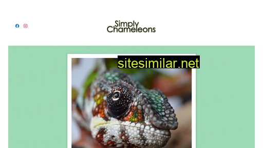 Simplychameleons similar sites