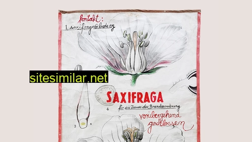 saxifraga.cc alternative sites
