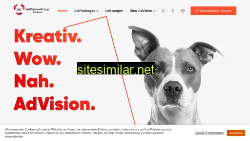 advision-web.ch alternative sites