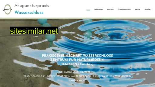akupunktur-wasserschloss.ch alternative sites