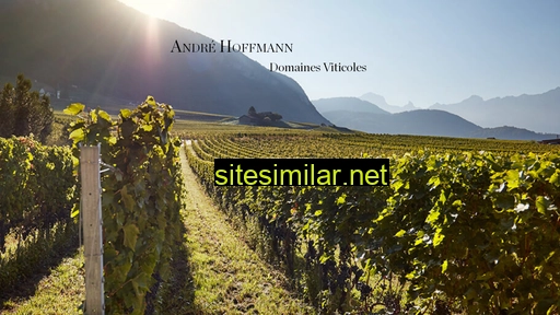 andrehoffmannvins.ch alternative sites