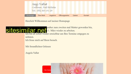 angi-waser.ch alternative sites