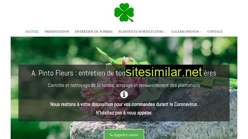 a-pinto-fleurs.ch alternative sites
