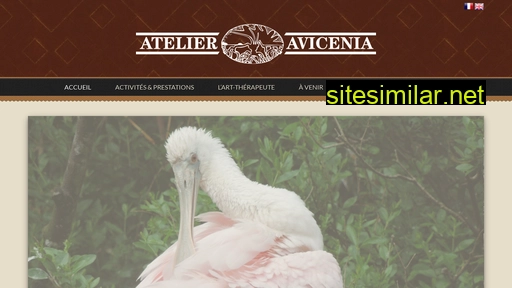 avicenia.ch alternative sites