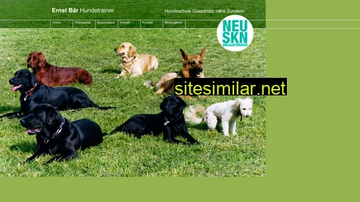 baer-hundeschule.ch alternative sites