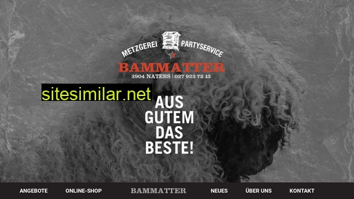 bammatter-naters.ch alternative sites