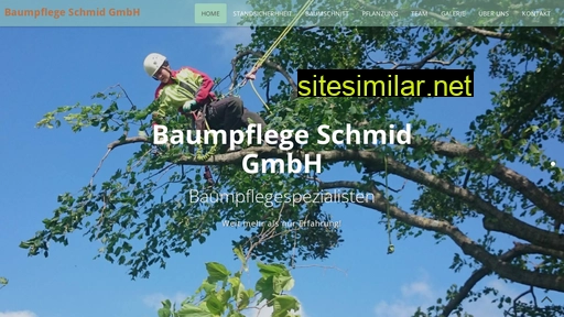 baumpflegeschmid.ch alternative sites