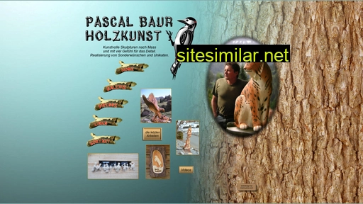 baur-holzkunst.ch alternative sites