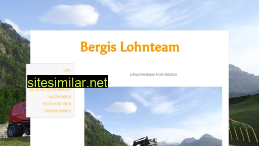 bergis-lohnteam.ch alternative sites